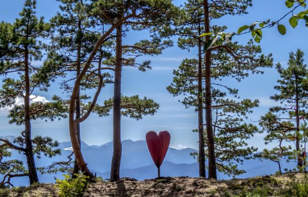 «Выше только любовь»: смотровые Лаго-Наки и отдых на термальном комплексе