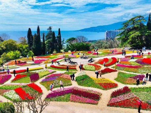 Парад тюльпанов в Крыму: Ялта, Новый Херсонес, Севастополь