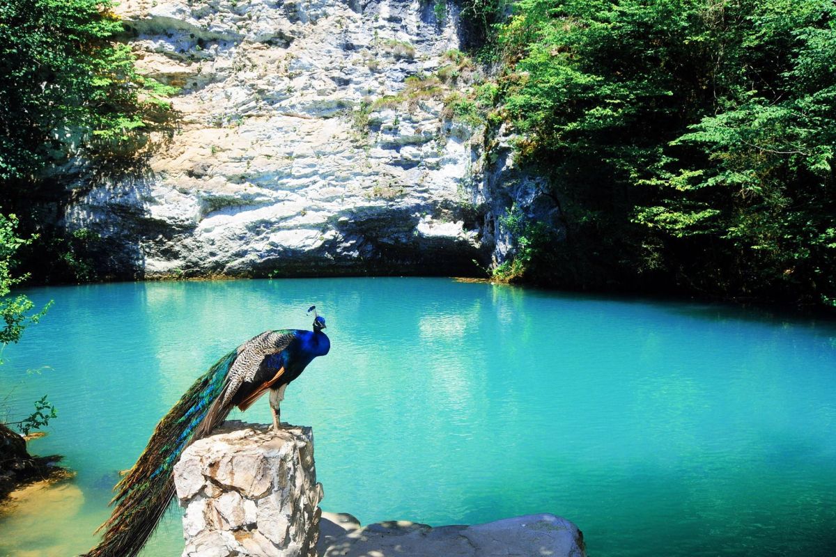 Абхазская весна: путешествие к горным легендам