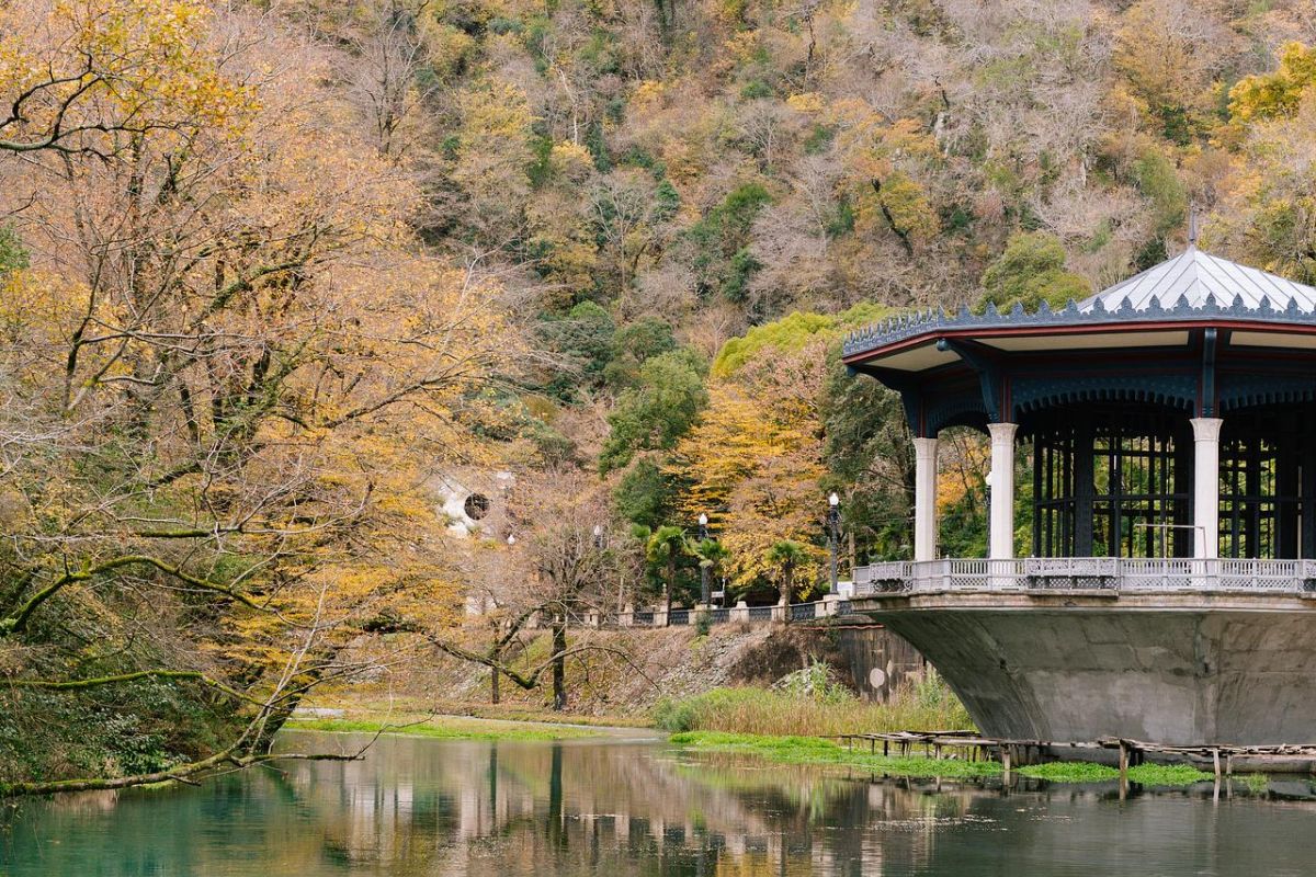 Цветение мимозы в Абхазии (Сухум - Новый Афон - о. Рица – Гагра - Кындыг)