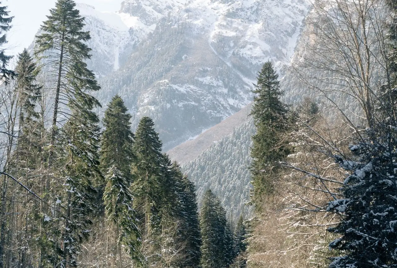 Домбай и Теберда: магия Кавказских гор